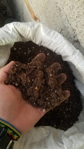 Agro Tierra Compost Turba Rubia Perlita Vermiculita Fibra De Coco 2