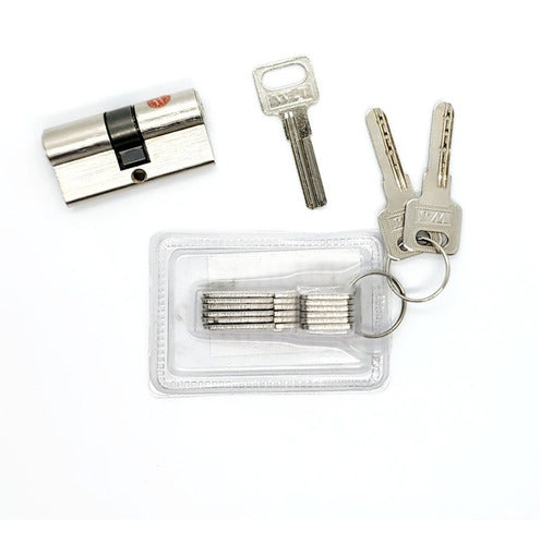 Set of 10 Virgin Brass Keys for Euro Cylinder Locks by Plagasonix 2