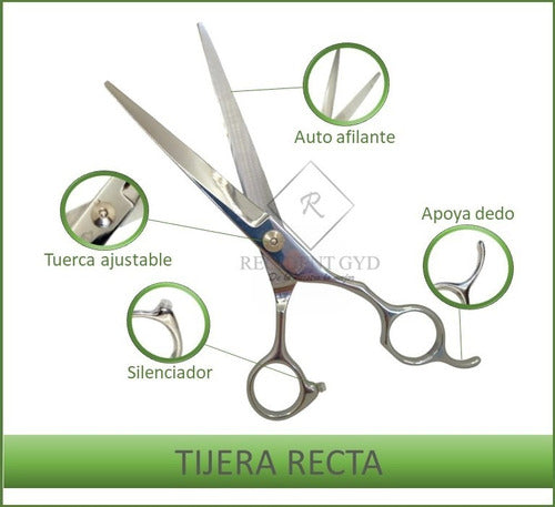 Professional Hairdressing Scissor Kit - Razor Cutting Thinning Set of 6 2