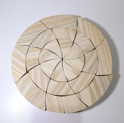 Micaela Rompecabezas Geométricos Madera Circulo Goethe Pentomino X6 0