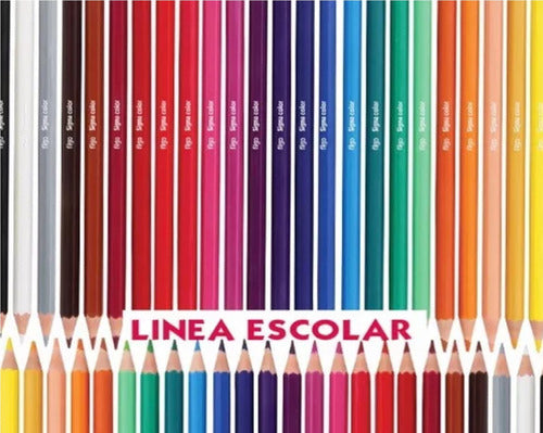 Filgo Pinto Long Colored Pencils X 36 Colors 1