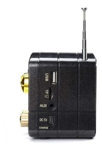 Radio Portátil Retro Am/fm/sd/bt/usb Batería Recargable 4