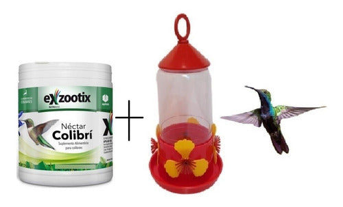 Exzootix Colibri Nectar and Feeder Kit 4