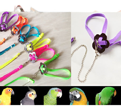 Adjustable Parrot Harness and Leash Set 1