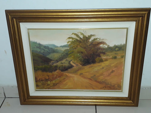 1831- Clóvis Pescio Ost 55x45cm Com Moldura - Paisagem. 1