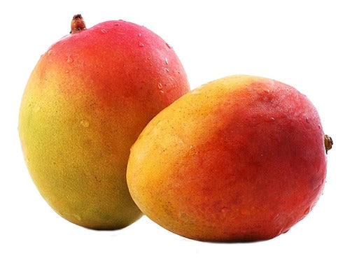 Mango X 4 Kilos 0