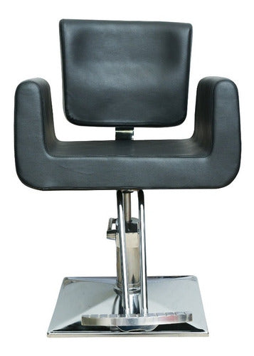 Sillon Sillon Butaca Hidraulico Profesional Peluqueria 3