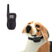 PetSafe Rechargeable Electric Training Collar with Remote Control 0