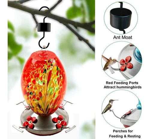 Jalamwang Hummingbird Feeder - Hand Blown Glass - Red Phoenix 4