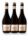 Champagne Cruzat Cuvée Extra Brut Kit X3u 750ml Mendoza 0