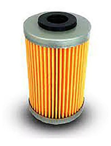 Filtro De Aceite Bajaj Rouser Ns 200 Pr Motos 0