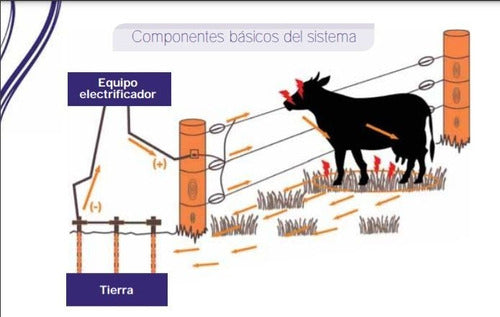 Picana Alambre Subterraneo P/ Cercos Electricos 50mts - Envio Gratis 2