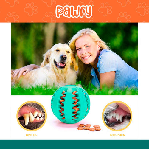 Pawfy Tpr Dog Tooth Cleaning Ball 6cm 1