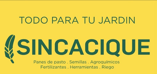 Atlântica Sodial Fertilizer Excess Sodium In Soil 5L 1