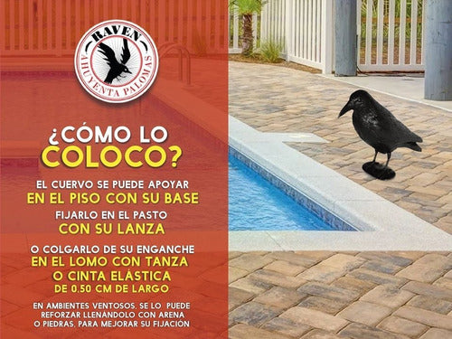 Raven Cuervo Plástico Espanta Palomas X 2 Unidades 3