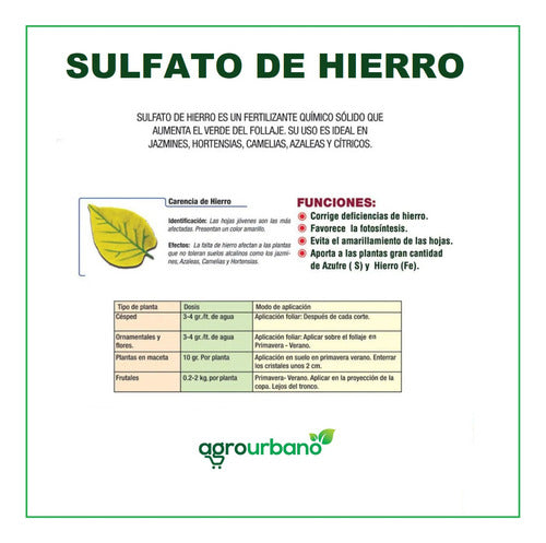 Agro Sulfato De Hierro Cura Previene Hojas Amarillas 1 Kg 4