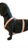 Adjustable Small Size Harness for Small Breeds - Mini Poodles, Dachshunds 8