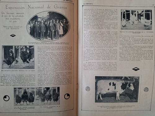 Actualidades La Revista 23 Año 1929 Obras Rambla Sur 2