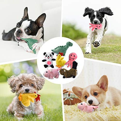 Legend Sandy Squeaky Dog Toys for Medium and Small Puppies 4