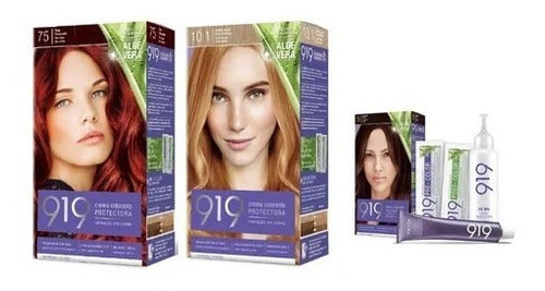 Complete Kit Permanent Hair Dye 919 2