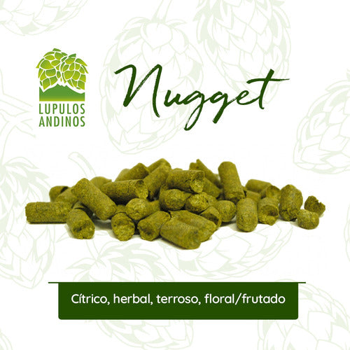 Lupulos Andinos Nugget Hops 500g - Craft Beer 1