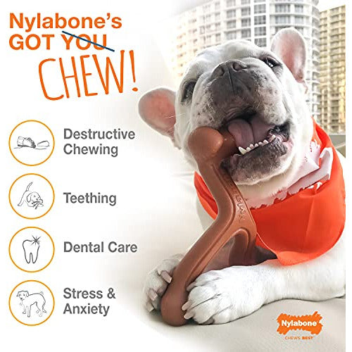 Nylabone Dura Chew Power Chew Textured Bone Flavor Medley Small 2