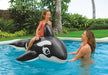 Inflable Orca Ballena Para Niños Playa Piscina Intex 58561 2