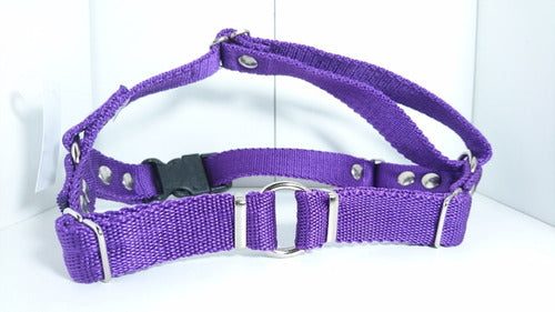 No Pull Anti-Pulling Dog Harness for Chest and Throat For My Dog Size 3,4 70