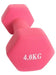 DTS Sport Hexagonal Neoprene Coated Dumbbell 4 Kg 0