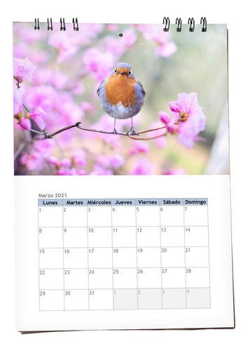 Flor Baez Fotografía Wall Calendar 20x30 Ring-bound Birds 0