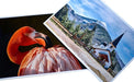 Revelado E Impresión De Fotos 15x21 X 10 Un. Envio En El Día 0