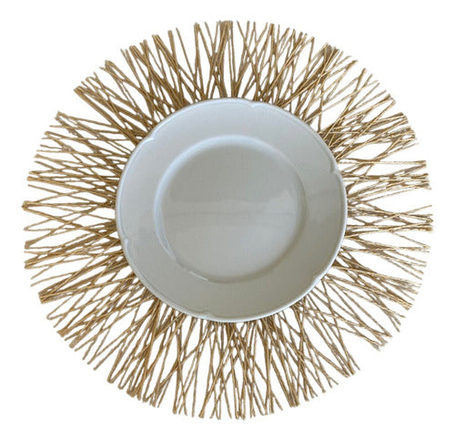 MODI Home Pack of 6 Round Table Mats 38cm Natural Fibers 4