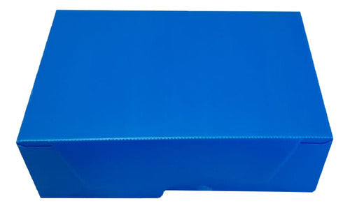 Cartonplast Caja Archivo Plástica Azul Oficio Tv 36x25x12cm 0