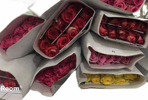 Premium Imported Natural Roses - Florespremium 0