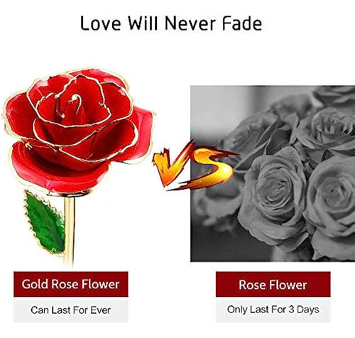 Enjoypro Gold Rose, 24k Golden Plated Red Rose, Real Everlas 2