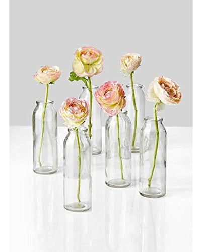 ~? Serene Spaces Living Clear Glass Bud Jarrones, Juego De 6 4