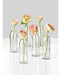 ~? Serene Spaces Living Clear Glass Bud Jarrones, Juego De 6 4