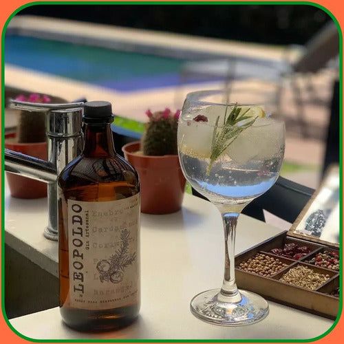 Gin Leopoldo - Artesanal & Handcraft 1