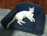 Reina Mara Pet Bed/Chair 6