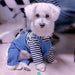 HERMES SHOP Blue Denim Jacket for Small Dogs, Size Small 4