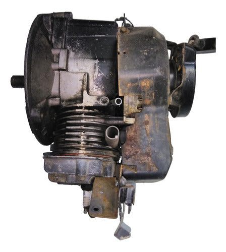 Motor  Podadora Nafta Tipo R Briggs Stratton Faltantes 0