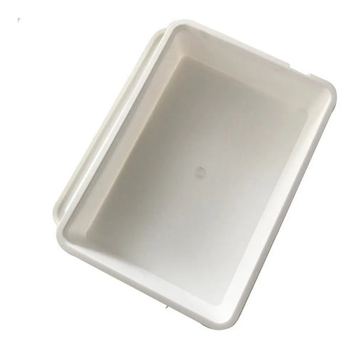 Caja Plastica Con Tapa Fermentado Leudado De Masas Mediana 5