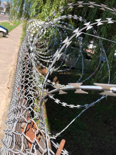 45 Double Cross Concertina Wire Price Per Meter 6