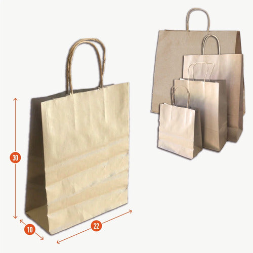 Bolsas Papel Madera Kraft 22x30x10 Con Manijas  Pack X 100 U 1