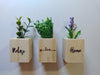 HandMade Mini Plant Pots with Magnet and Artificial Plant Set 5