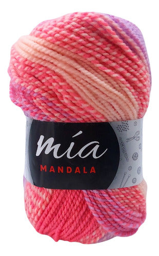 MIA Mandala Variegated Yarn - 5 Skeins of 100g Each 105
