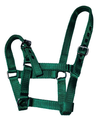 Generic Newborn Muzzle with Halter 1