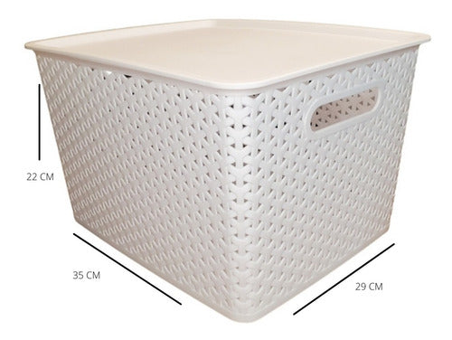 RANDOM Caja Organizadora Plástica C/tapa Apilable Canasto Blanco L 1