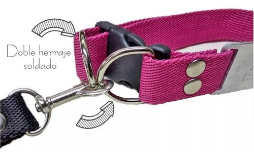 Set 15mm Collar + Leash + Slide-on ID Tag for Small Dogs 3