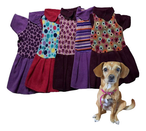 Kit Vestido Abrigo Polar Mascotas Fantasia Talle 6 + Bolsita 7